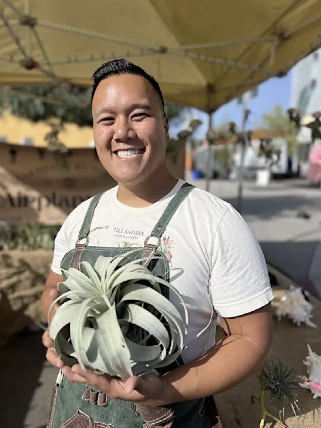 North Park Plant Sale