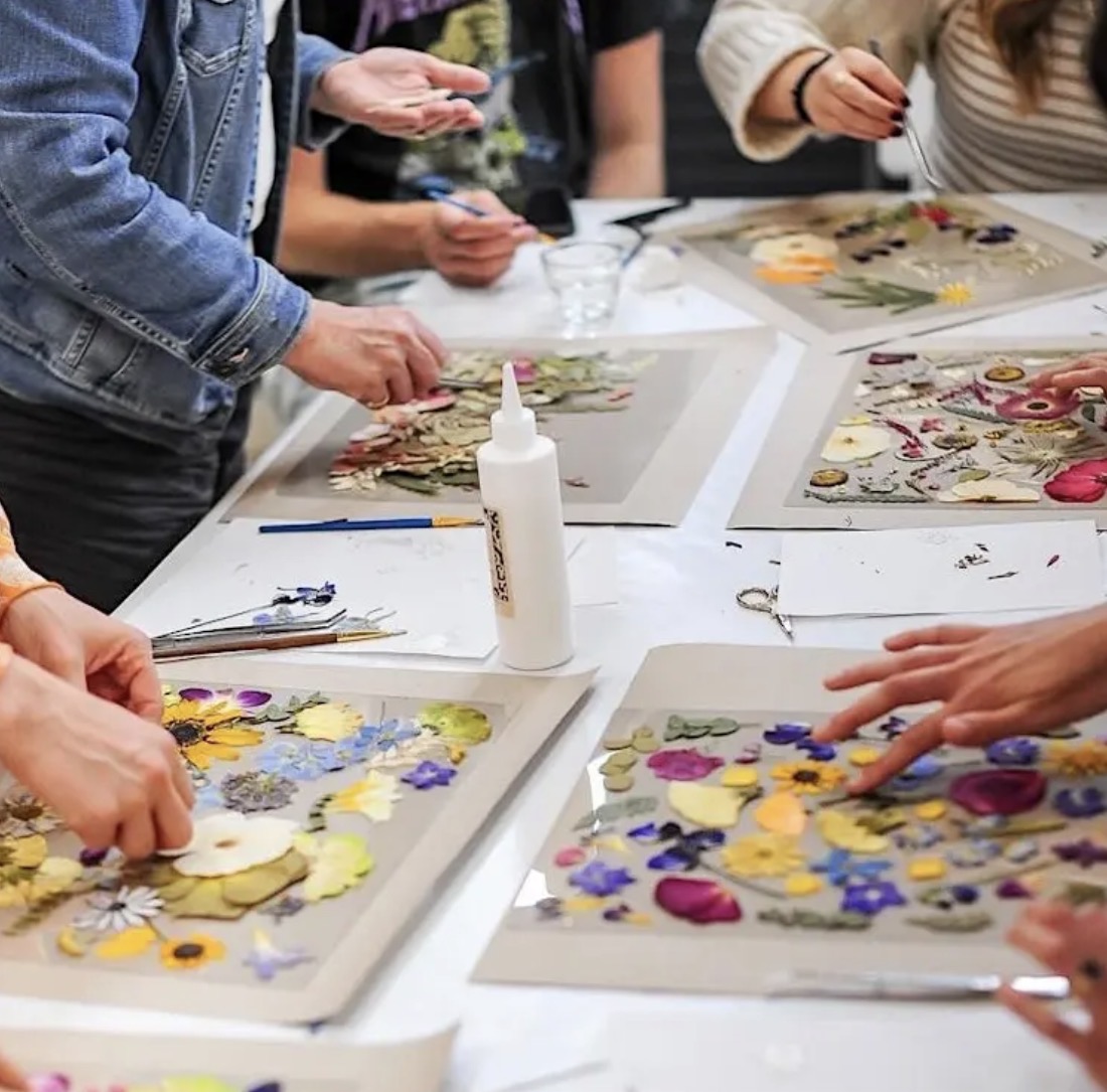 North Park Plant Sale