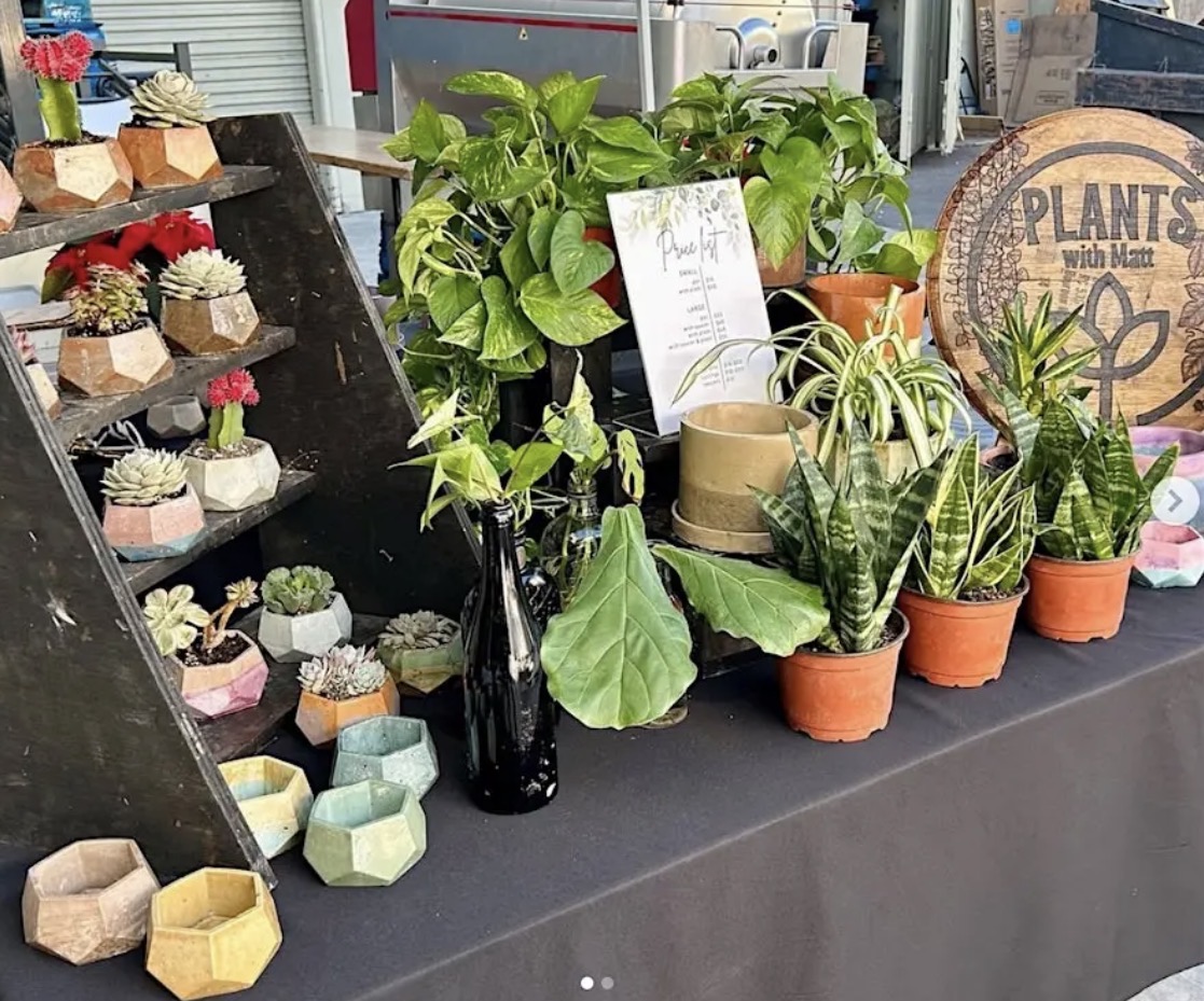 North Park Plant Sale