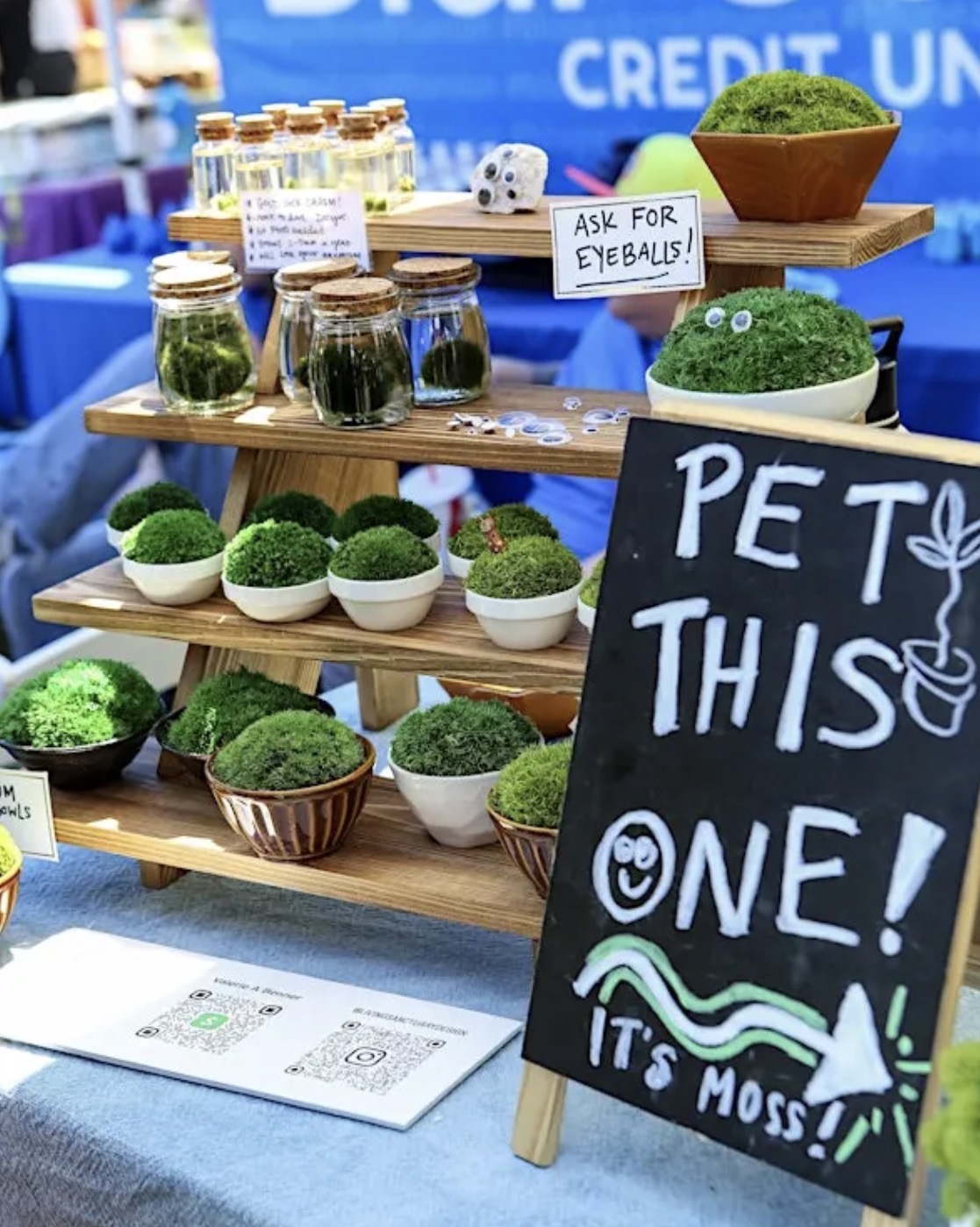 North Park Plant Sale