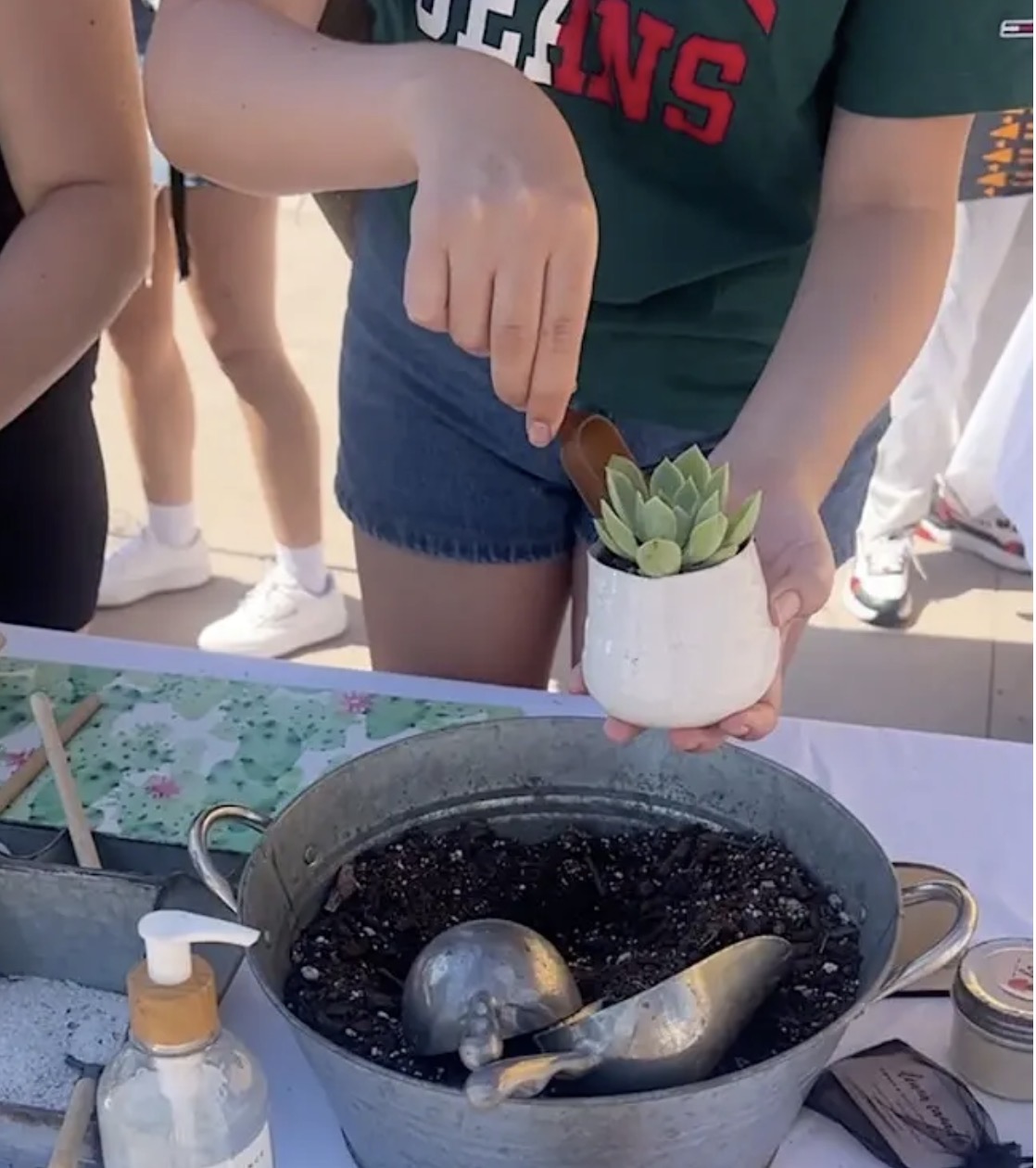 North Park Plant Sale