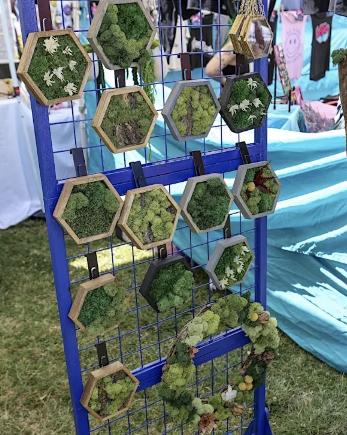 North Park Plant Sale