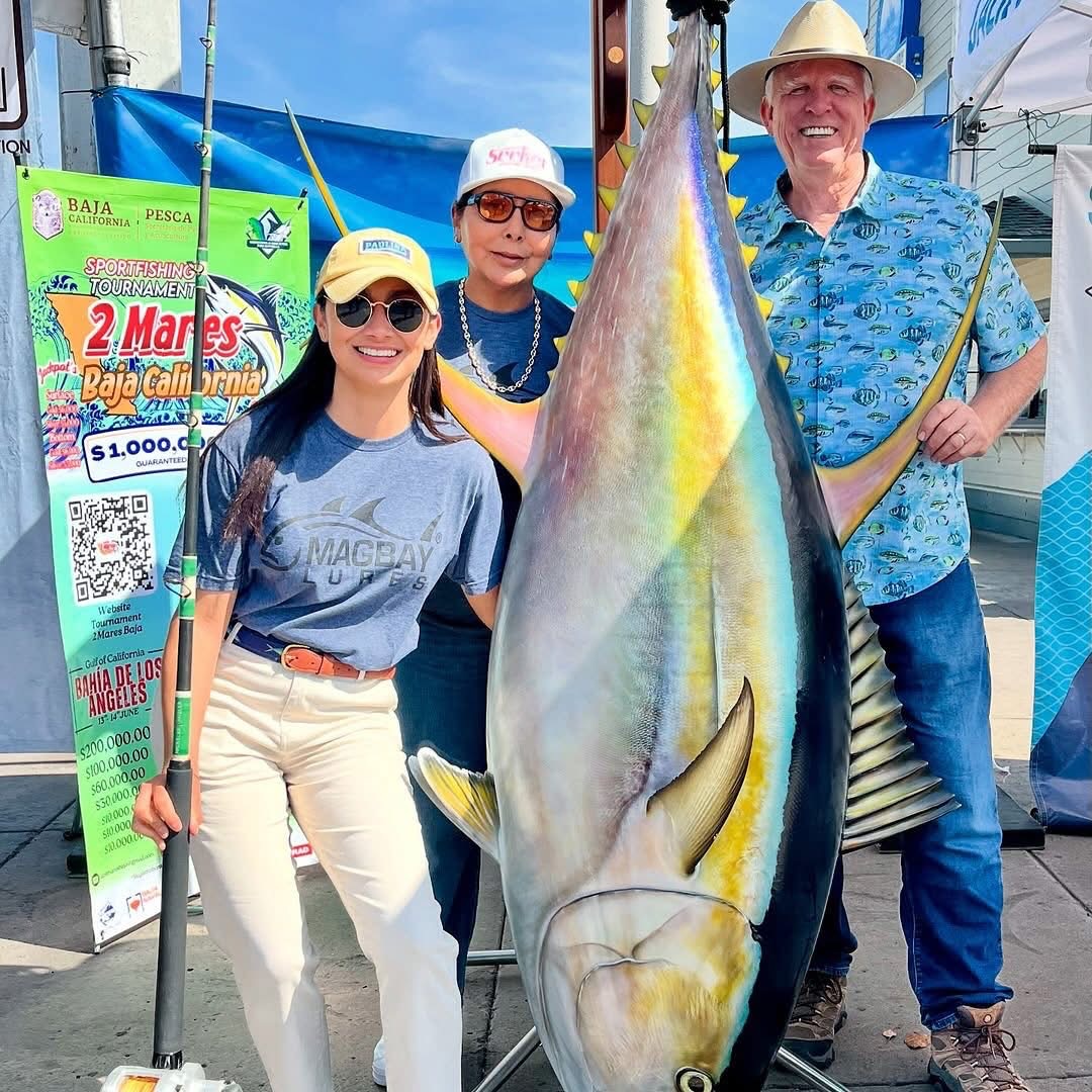 The Port Of San Diego Day At The Docks