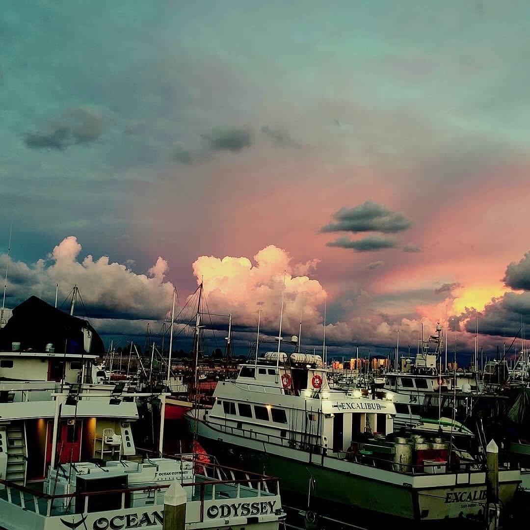 The Port Of San Diego Day At The Docks
