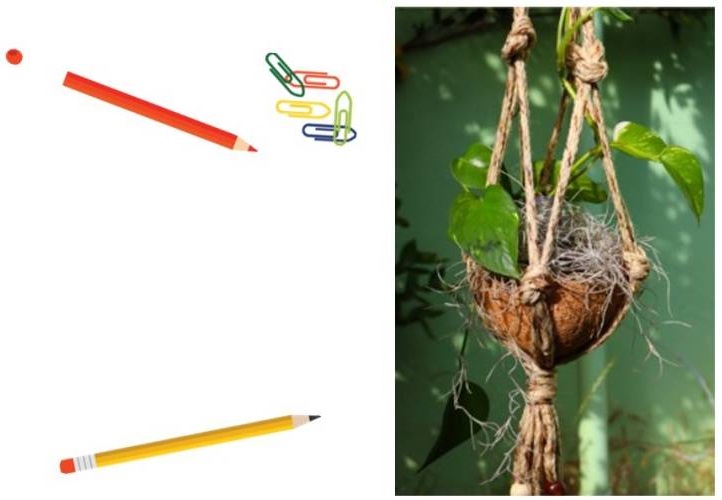 Adult Craft: Macrame Pothos Plant Hanger event photo
