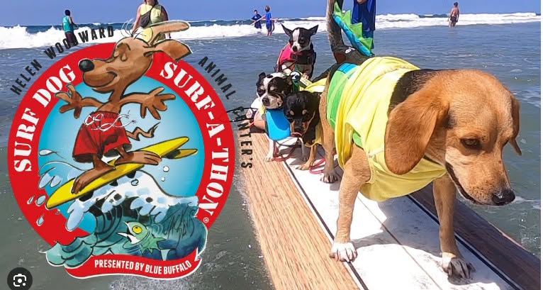 Surf Dog Surf-A-Thon event photo