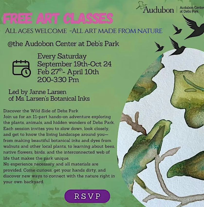 Free Art in Nature classes at Deb’s Park
