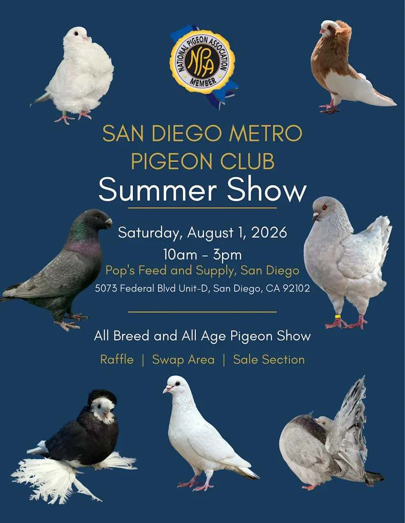 San Diego Metro Pigeon Club Summer Lawn Show event photo