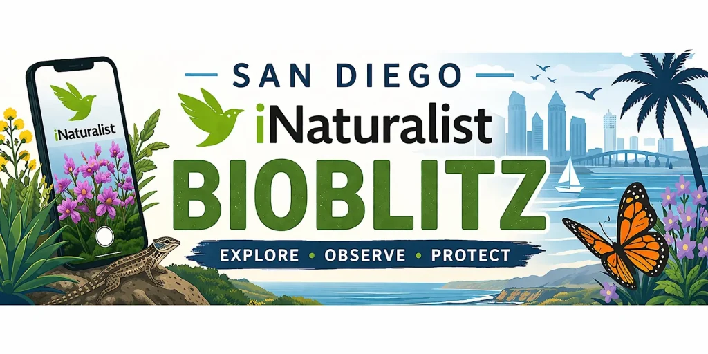 San Diego September iNaturalist Bioblitz event photo