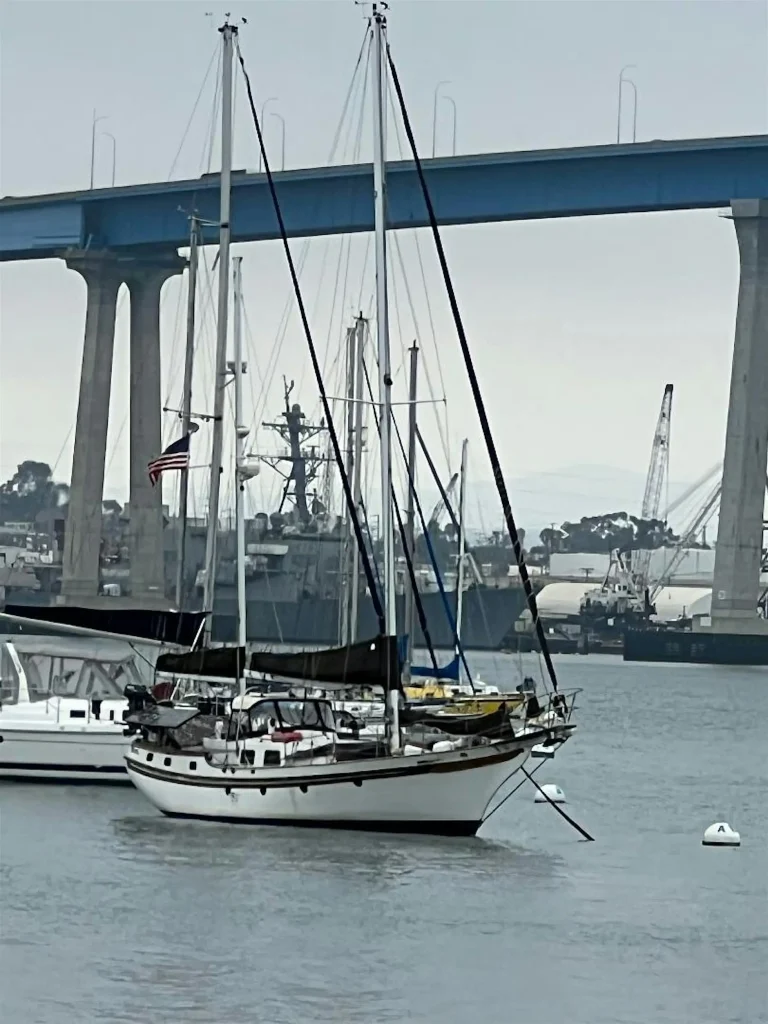 San Diego Chapter – Paint/Sculpt-Out at Coronado Tidelands Park event photo