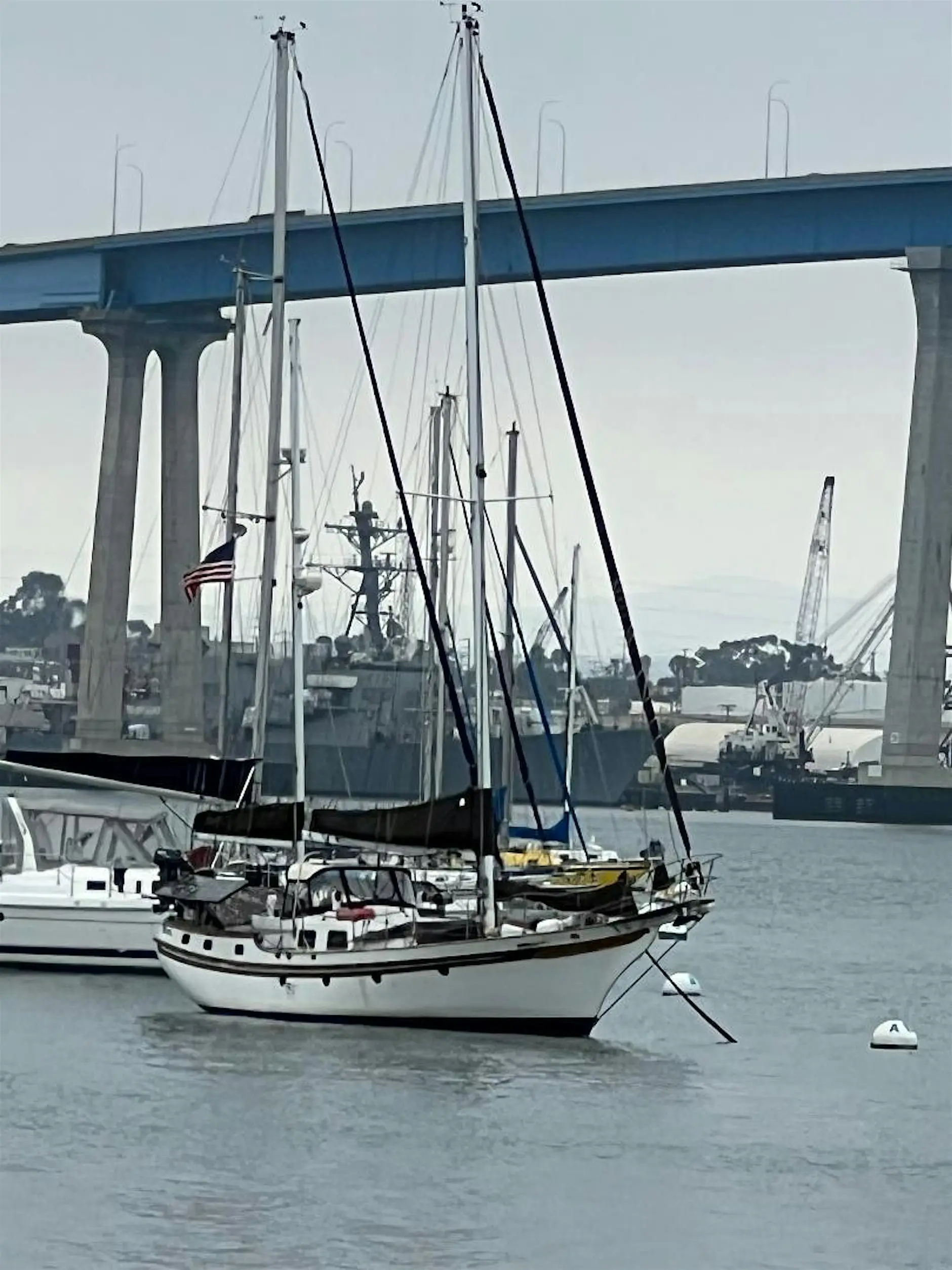 San Diego Chapter – Paint/Sculpt-Out at Coronado Tidelands Park