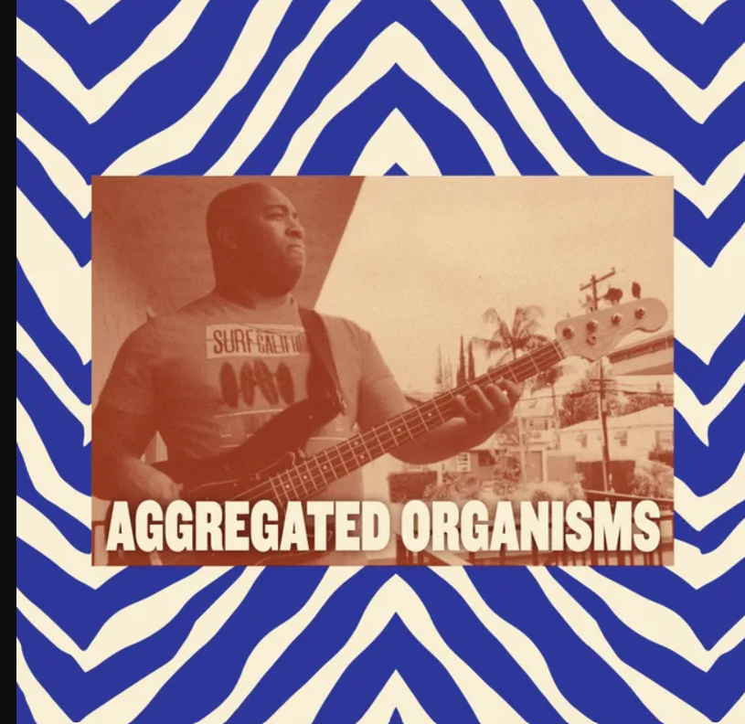 AGGREGATED ORGANISMS event photo