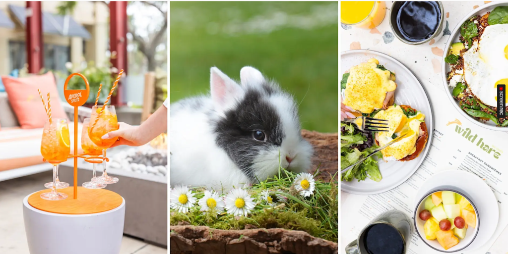 Bunnies & Brunch | Wild Hare Bar Garden event photo